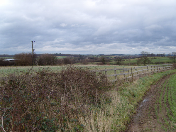 Long Whatton from Drypot Lane