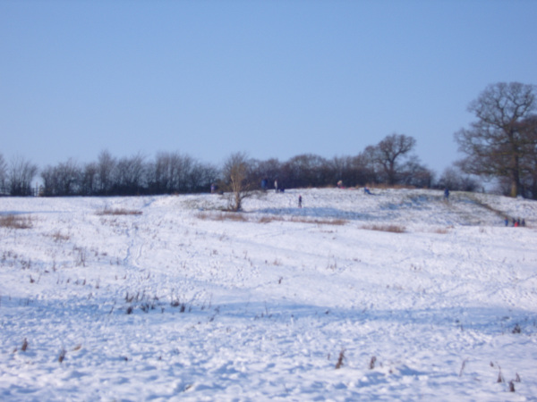 Paradise Hill, Winter 2009