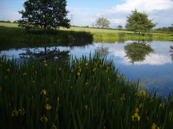 Whatton House 2nd Pond